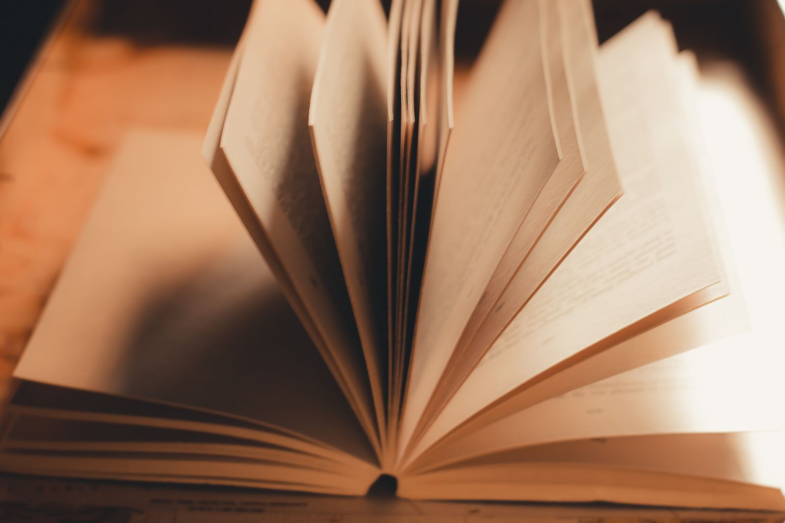 Gros plan d'un livre ouvert avec des pages qui se tournent dans une lumière chaude et douce.